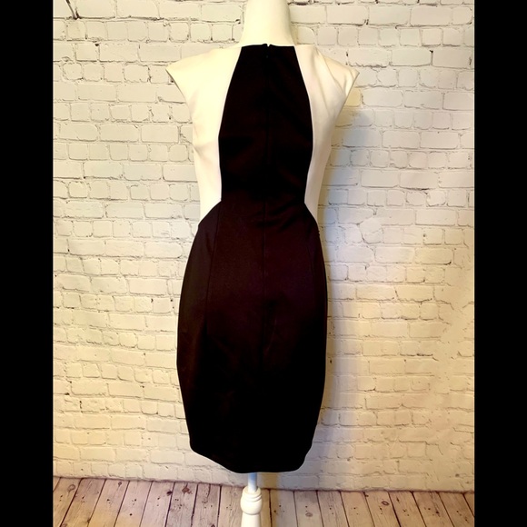 Beautiful tailored dress with Lace inset size 8 - Picture 4 of 8